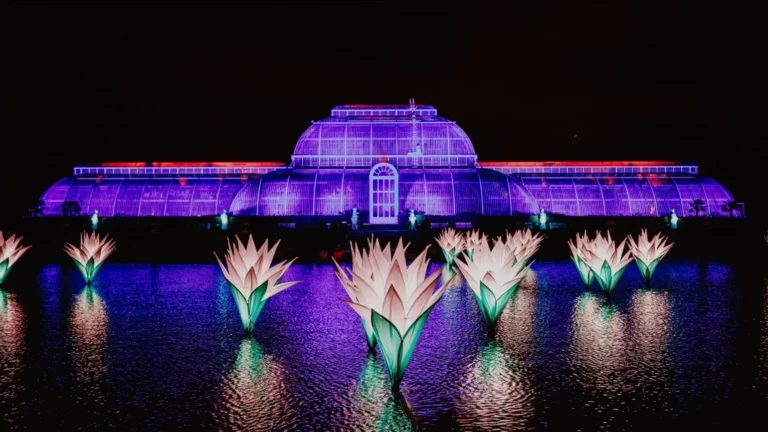 Christmas at Kew